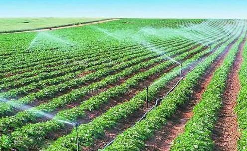 嗯啊哦群交视频农田高 效节水灌溉